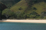 North Rinca