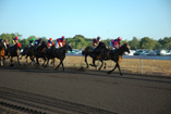 The Darwin Cup 2007