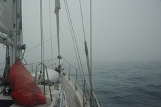 fog