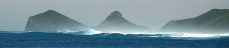 surf
