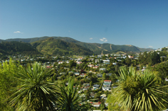 Nelson