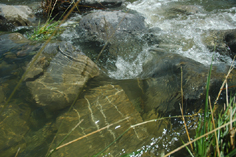 Roding River