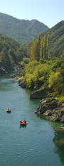 Buller Gorge