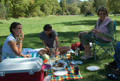 picnic
