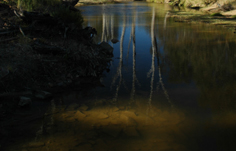 Campaspie River