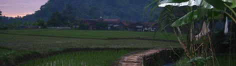 path