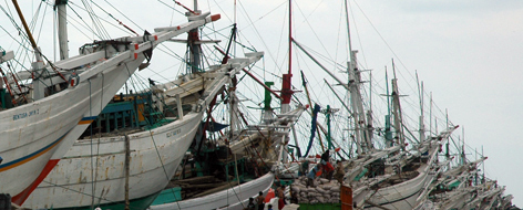 Kelapa