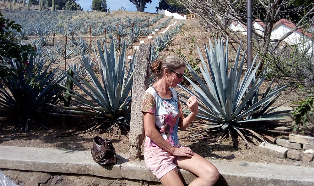 Ouch - the spikes on these agave are sharp