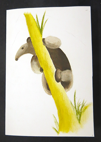 Neil preserved my silky anteater in oils for my birthday