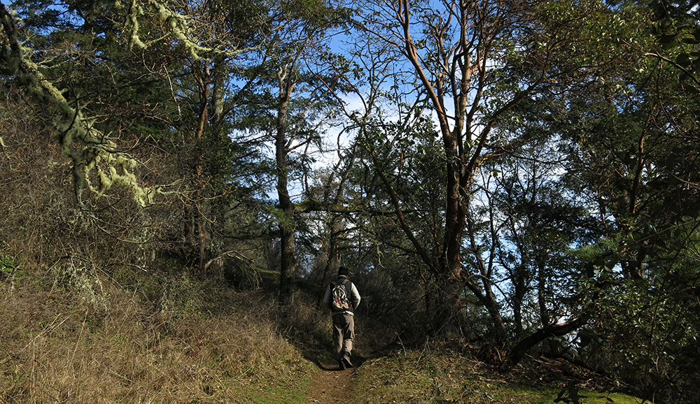 Exploring Horth Hill on the Saanich Peninsula